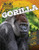 Gorilla by John Lesley, 9781761402487