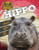 Hippo - 9781761402593 by John Lesley, 9781761402593