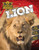 Lion - 9781761402609 by John Lesley, 9781761402609
