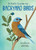 A Kid's Guide to Backyard Birds by Eliza Berkowitz, Nicole LaRue, 9781423662631