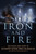 Iron and Fire (The Pacific War Story of Destroyer Captain Bruce McCandless) by Bruce McCandless, Bruce McCandless, 9798892410458