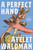 A Perfect Hand (A Novel) - 9798217287864 by Ayelet Waldman, 9798217287864
