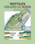 The Reptiles Coloring Book (A Coloring Book) by Coloring Concepts Inc., 9780063009738
