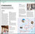 DK Top 10 Venice (Top 10 lists for your perfect trip, plus an all-weather folded map) by DK Travel, 9780241813195
