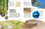 Eyewonder Reptiles (Open Your Eyes to a World of Discovery) by DK, 9798217308637
