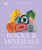 Rocks & Minerals - 9798217306787 by DK