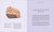 Rocks & Minerals - 9798217306787 by DK