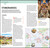 DK Top 10 Rome (Top 10 lists for your perfect trip, plus an all-weather folded map) by DK Travel, 9780241813188