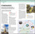 DK Top 10 Iceland (Top 10 lists for your perfect trip, plus an all-weather folded map) by DK Travel, 9780241813133
