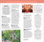 DK Top 10 Berlin (Top 10 lists for your perfect trip, plus an all-weather folded map) by DK Travel, 9780241813058