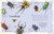 Antología de insectos extraordinarios (An Anthology of Remarkable Bugs) (Spanish Edition) by Jess French, 9798217313037