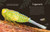 Antología de insectos extraordinarios (An Anthology of Remarkable Bugs) (Spanish Edition) by Jess French, 9798217313037
