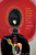 Inside the Body of Black Feminism (Science, Race, Culture) by Samantha Pinto, 9781478038801