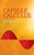 Capsule Calculus by Ira Ritow, 9780486432564