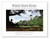 Where Maine Reads (Images of and essays by Maine readers-young, old, and in between) by Buddy Doyle, 9798218338503