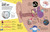 An Excellent Encyclopedia of Your Senses (Think You Have Just Five Senses? Think Again!) by DK, 9798217304769