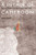 A Decade of Cameroon (Politics, Economy and Society 2008-2017) by Fanny Pigeaud, 9789004395251