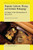 Popular Culture, Piracy, and Outlaw Pedagogy (A Critique of the Miseducation of Davy Jones) by Elizabeth Pollock, 9789462096110