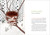 Forest Language, A (Words That Illuminate the Astonishing World of Trees) by Hannah Fries, Maria Popova, Henrike Lendowski, 9781635869811