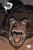 Escape from Skull Island by Simon Furman, Christopher Jones, 9781787743922