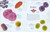 An Anthology of Micro Life (Discover the Stories of the Miniature World) by Jess French, 9798217308651