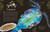 An Anthology of Micro Life (Discover the Stories of the Miniature World) by Jess French, 9798217308651