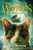 Warriors: Changing Skies #4: Guiding Light by Erin Hunter, 9780063357211