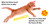 What Do Kittens Love? by D. J. Steinberg, 9780593754498