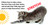 What Do Kittens Love? by D. J. Steinberg, 9780593754498