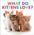 What Do Kittens Love? by D. J. Steinberg, 9780593754498