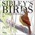 Sibley's Birds of America 2027 Wall Calendar by David Allen Sibley, 9780789349576
