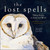 The Lost Spells 2027 Wall Calendar (Telling Stories in Paint and Word) by Robert Macfarlane, Jackie Morris, 9780789349644