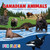 Canadian Animals by Caroline Slovensky, Stephanie Mallon, 9781834041056