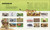 Animals A Visual Compendium (An Incredible Guide to the Animal Kingdom) by DK, 9798217307340