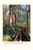 The World Beneath Our Feet (The Hidden Life of Soil and Why It Matters to Us All) by Frank Ashwood, 9780593978320