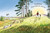 What Shall We Do, Winnie-the-Pooh? by Jeanne Willis, Mark Burgess, 9780593697481