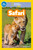 Safari (National Geographic Kids Readers, Pre-Reader) by Gail Tuchman, National Geographic Kids, 9781426306150