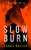 Slow Burn (A Rural Noir Crime Thriller) - 9781036714451 by Barry Napier, 9781036714451
