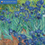 Van Gogh Blooms Wall Calendar 2027 (Art Calendar) by Flame Tree Studio, 9781806940356