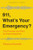 911, What's Your Emergency? (The Promise and Peril of Crisis Response) by Rebecca Neusteter, 9781620979105