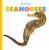 Baby Seahorses by Graham Morgan, 9798896801078