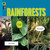 Rainforests by Kate Riggs, 9798896801214