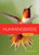 Hummingbirds - 9798896802174 by Melissa Gish, 9798896802174