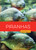 Piranhas - 9798896802204 by Melissa Gish, 9798896802204