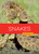 Snakes - 9798896802211 by Teresa; Melissa Wimmer; Gish, 9798896802211