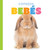 Conejos bebés (Spanish Edition) by Laura K. Murray, 9798896802358
