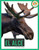 El alce (Spanish Edition) by Lisa M. Bolt Simons, 9798896802686