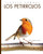 Los petirrojos (Spanish Edition) by Ashley Gish, 9798896803171