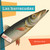 Las barracudas (Spanish Edition) by Melissa Gish, 9798896803478
