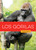Los gorilas (Spanish Edition) by Melissa Gish, 9798896803638